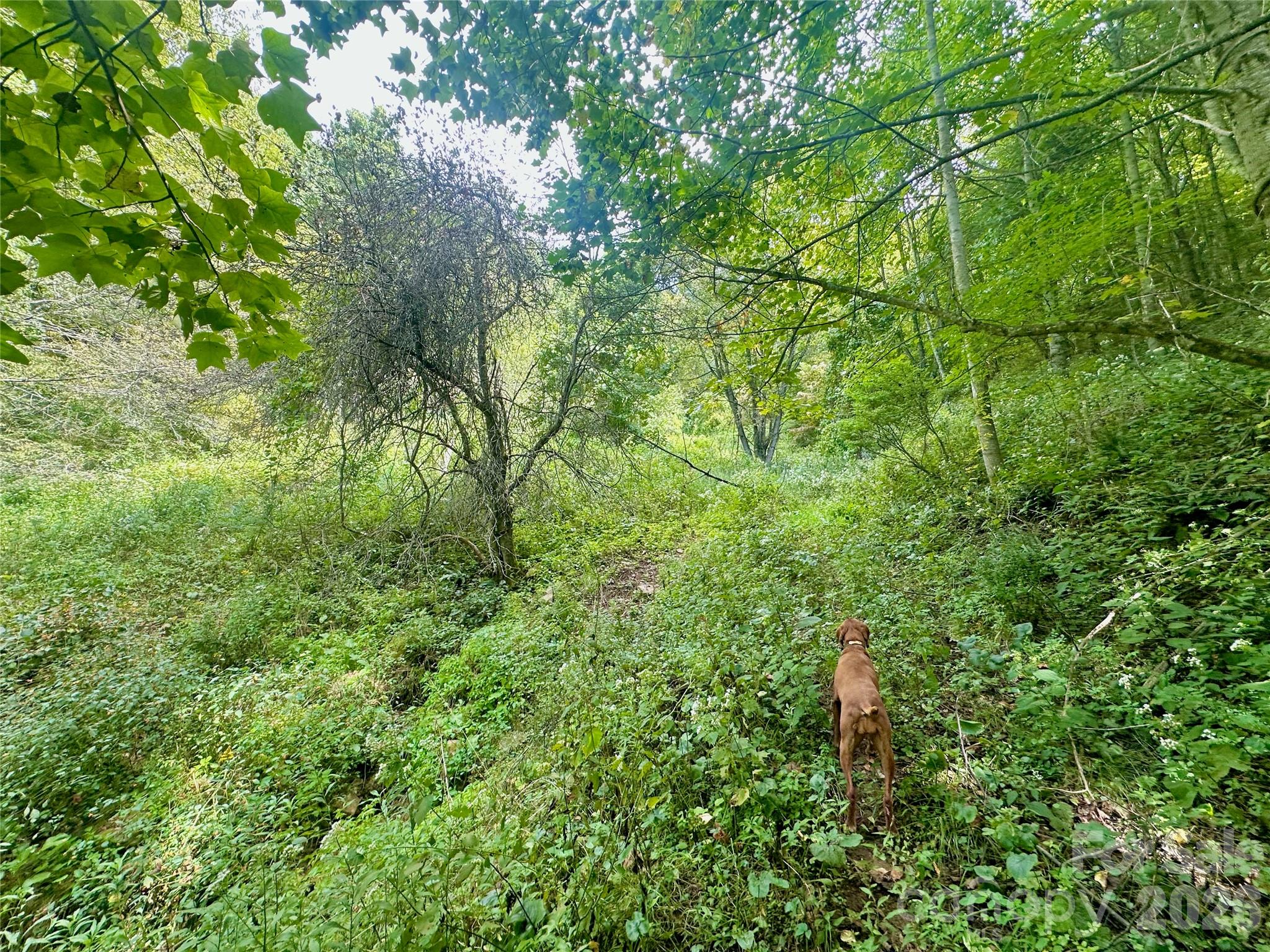 Tbd Old Anderson Quarry Road Property Photo 17