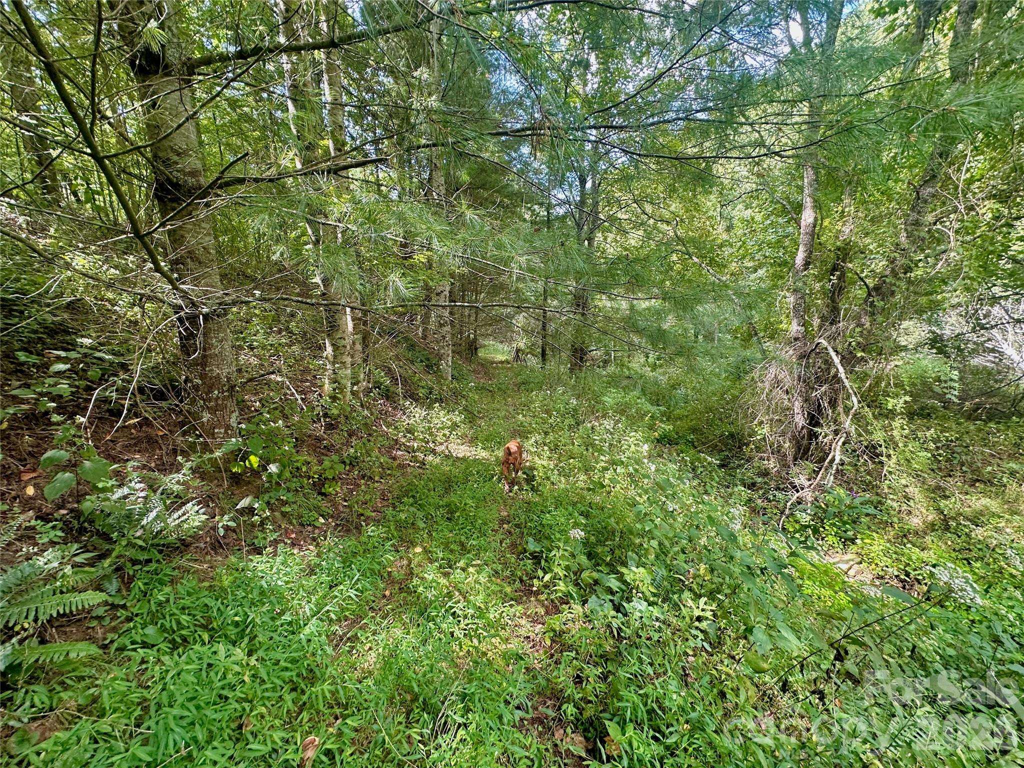 Tbd Old Anderson Quarry Road Property Photo 18