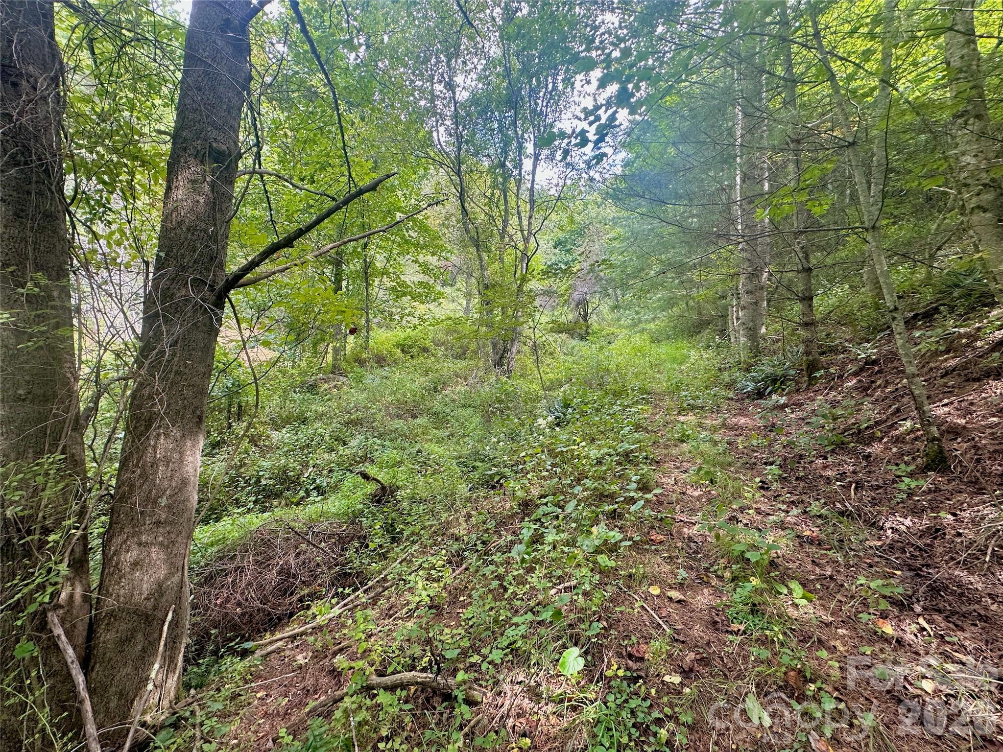 Tbd Old Anderson Quarry Road Property Photo 19