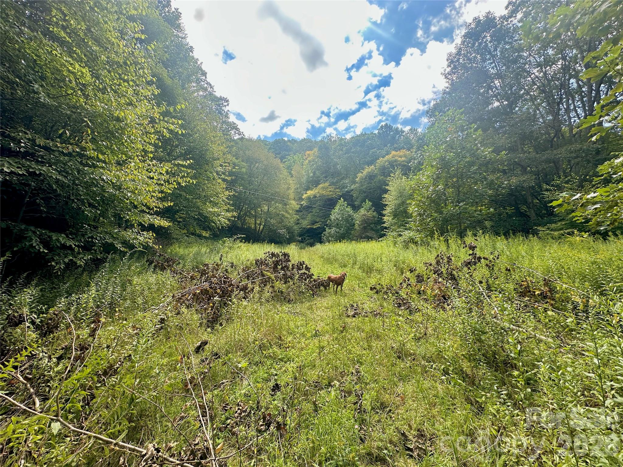 Tbd Old Anderson Quarry Road Property Photo 20