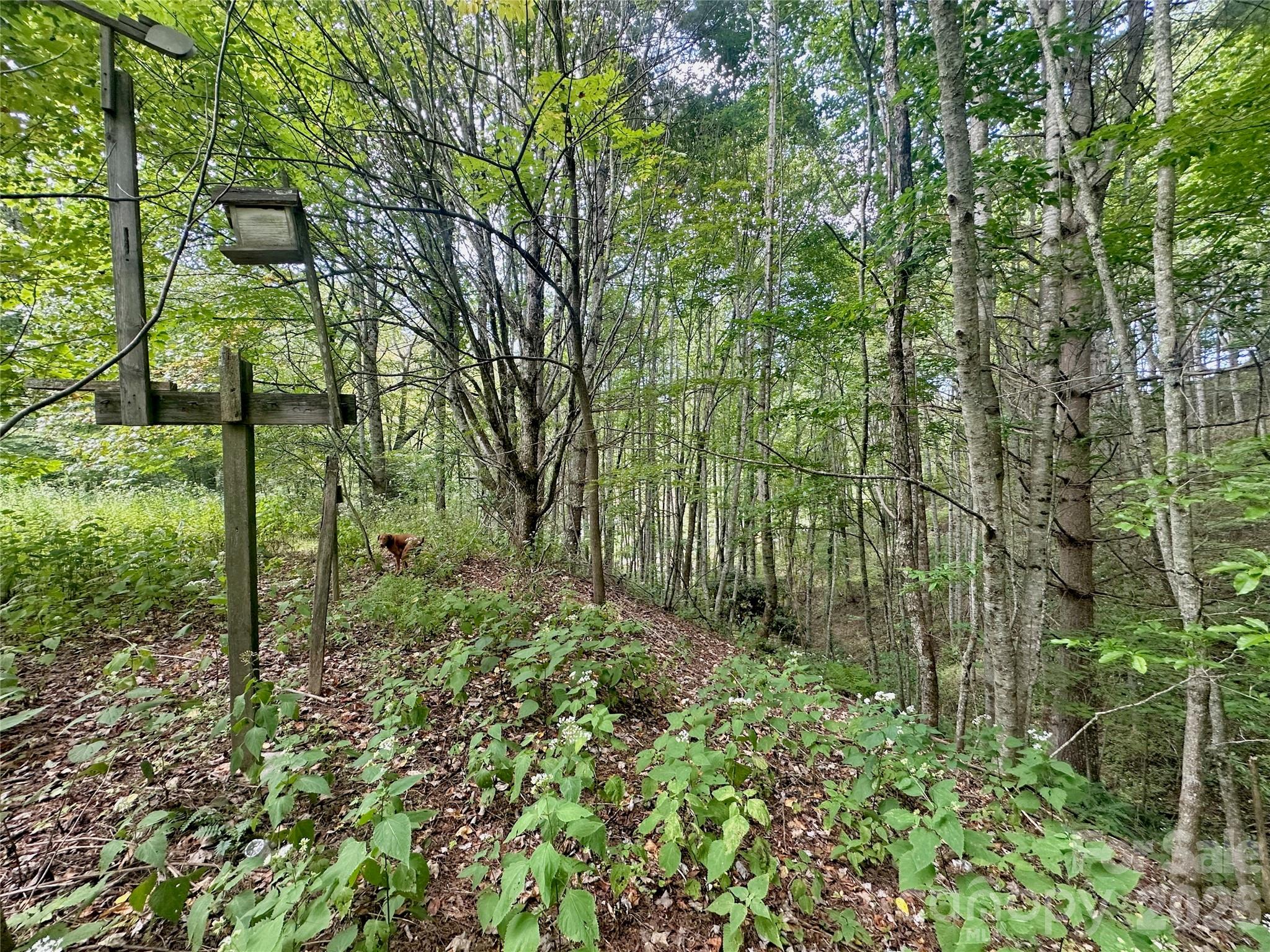 Tbd Old Anderson Quarry Road Property Photo 21