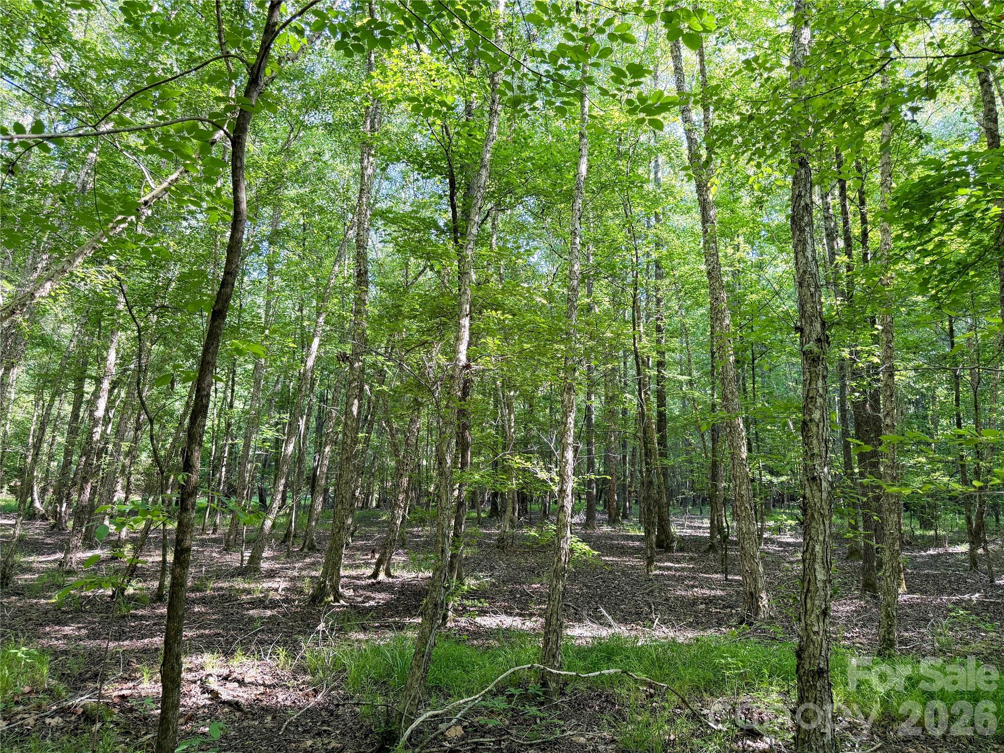 6244 Oakridge Road Property Photo 2