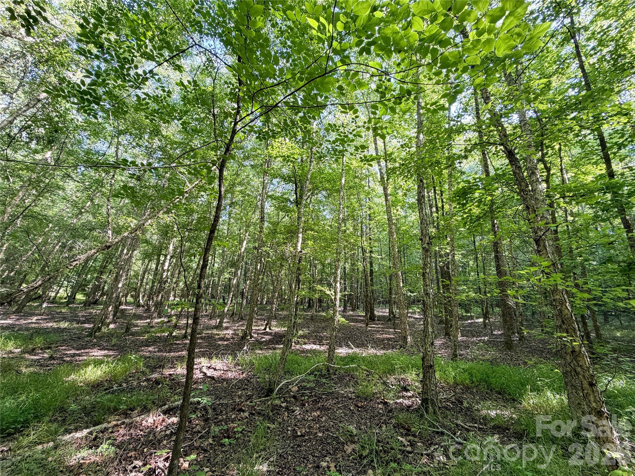 6244 Oakridge Road Property Photo 3