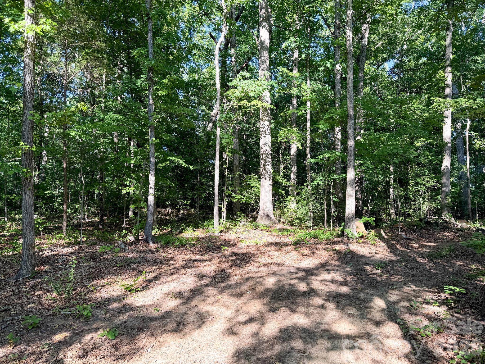 6244 Oakridge Road Property Photo 6