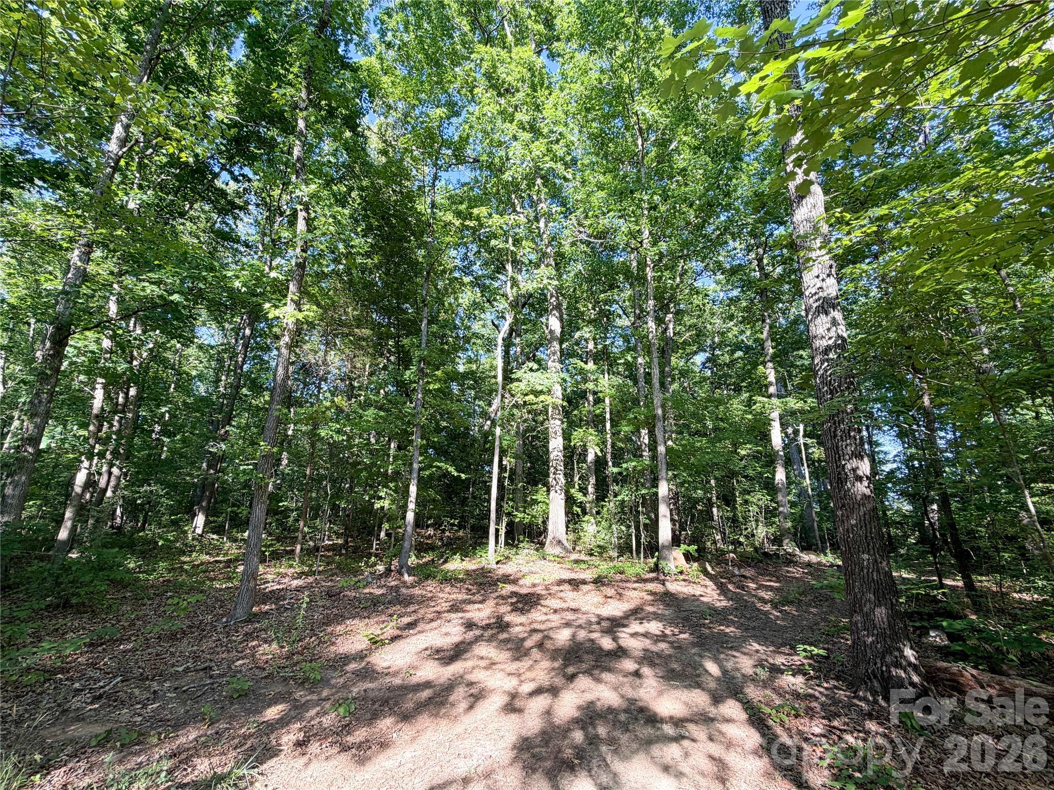6244 Oakridge Road Property Photo 7