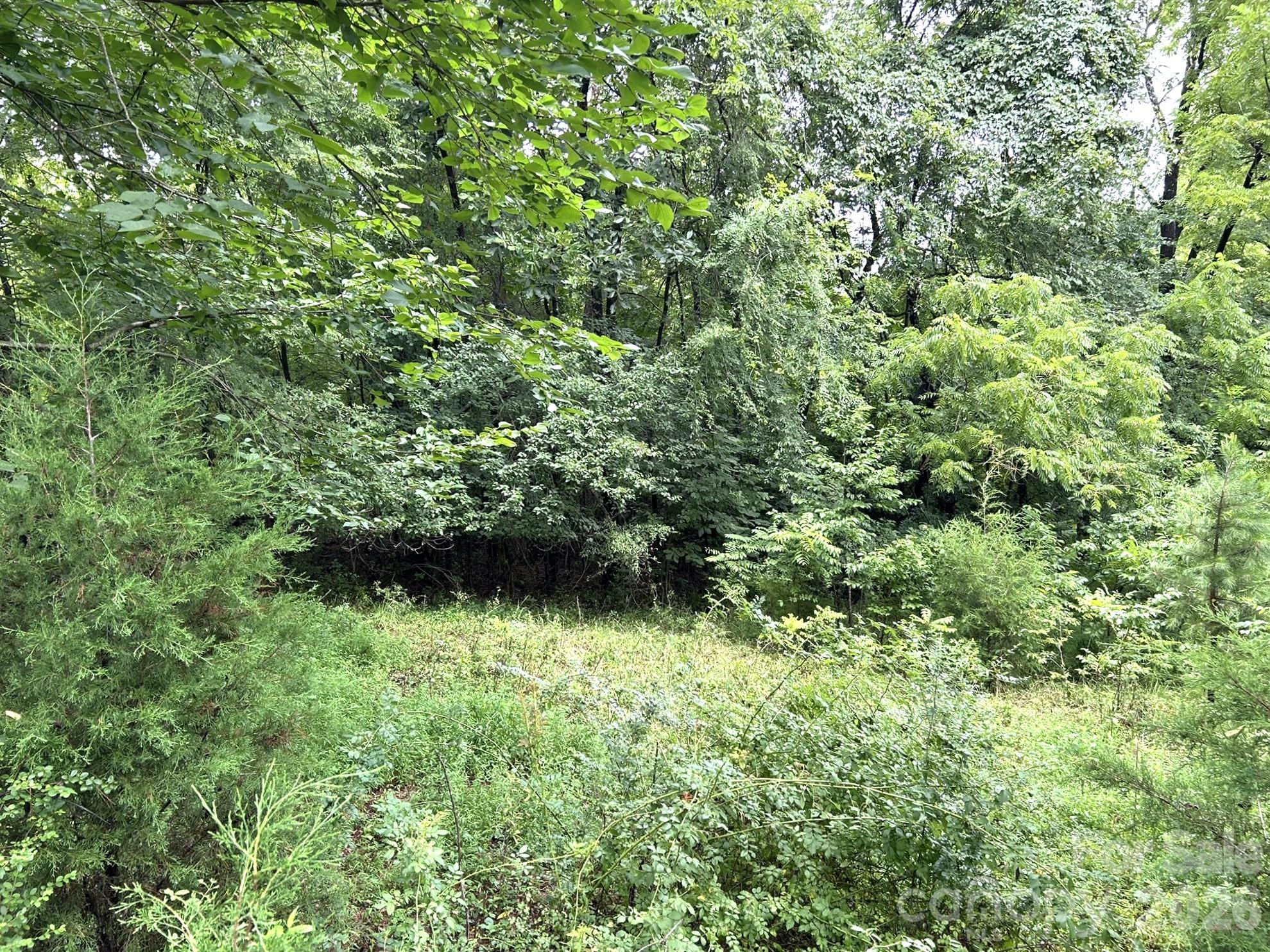2580 Mount Pleasant Road Property Photo 3