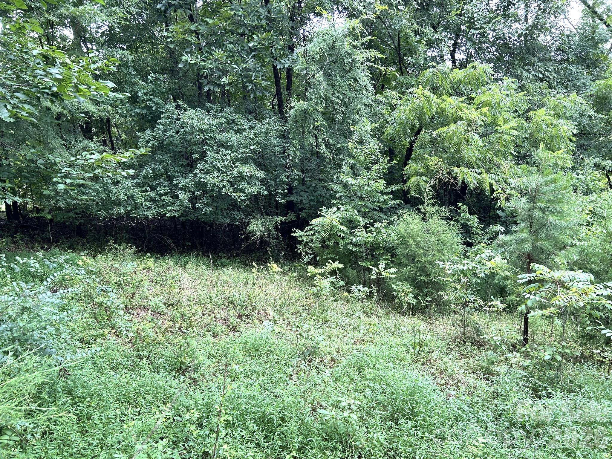 2580 Mount Pleasant Road Property Photo 4
