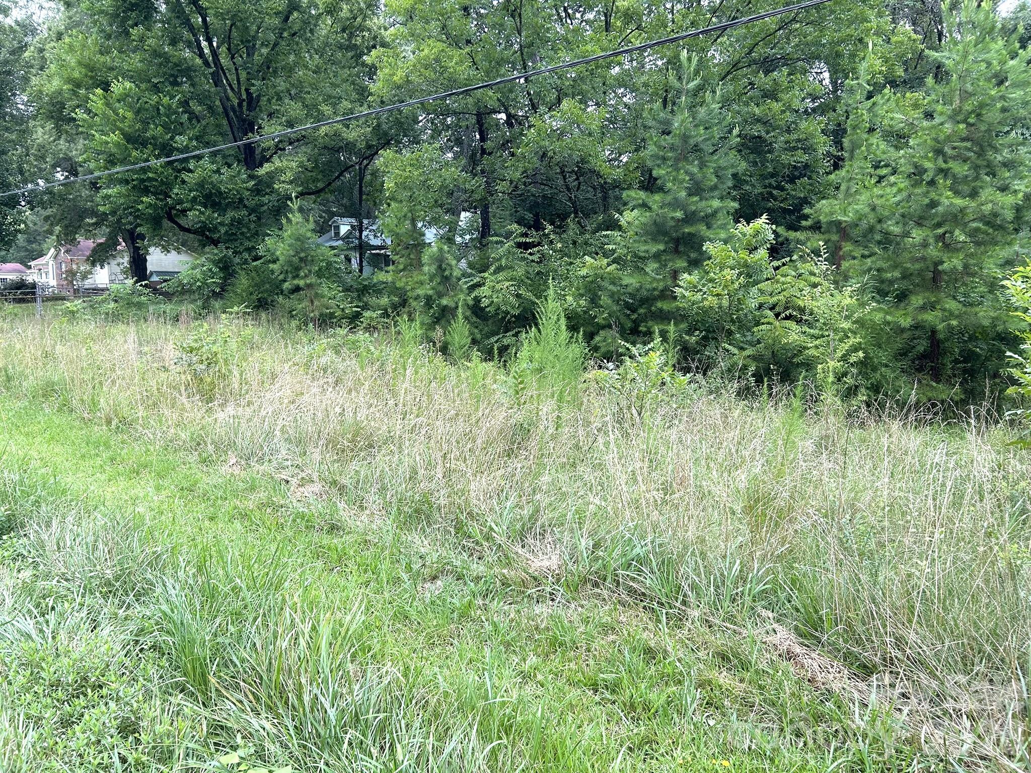 2580 Mount Pleasant Road Property Photo 5