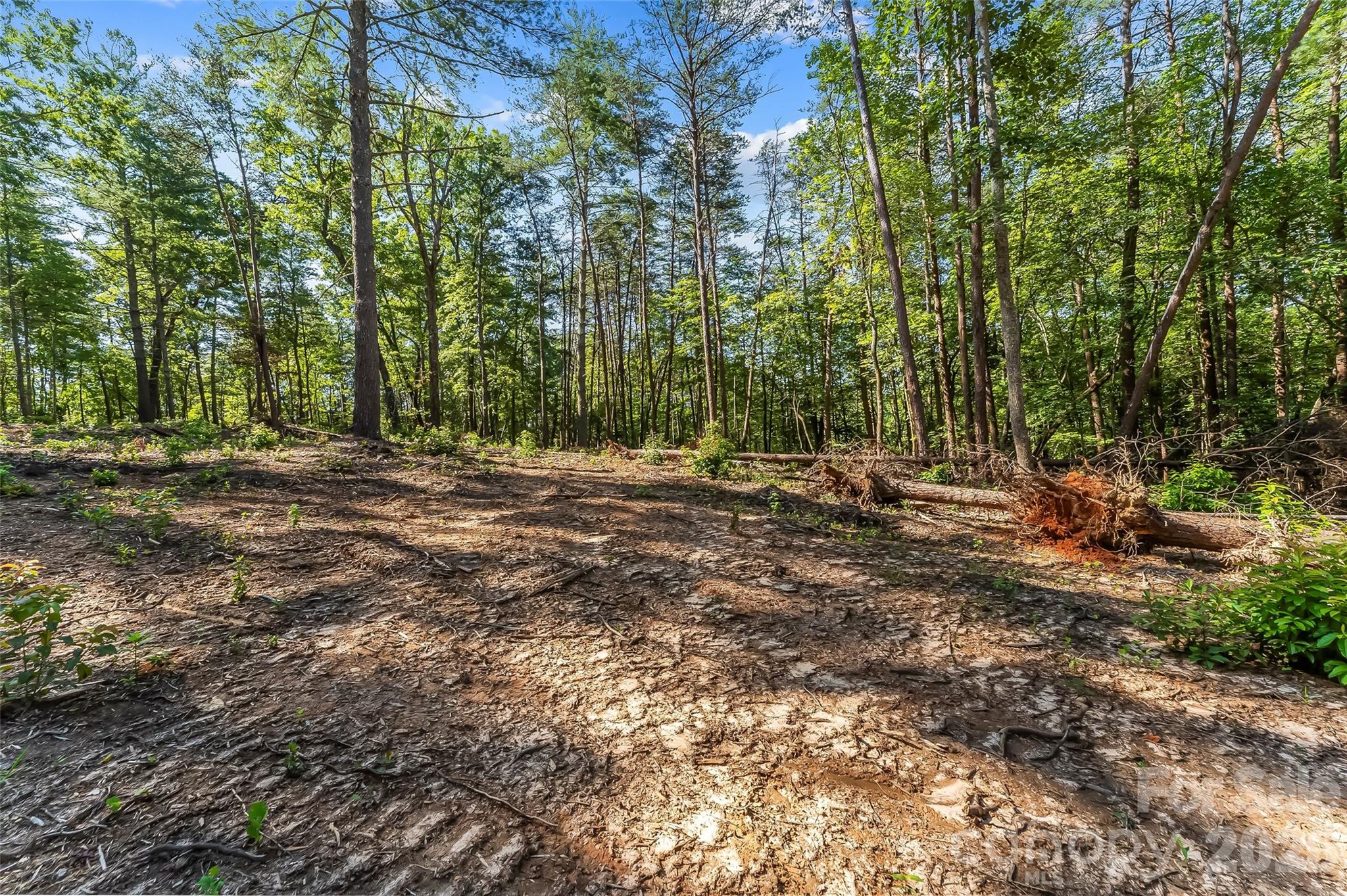 2815 Playmore Beach Road Property Photo 8