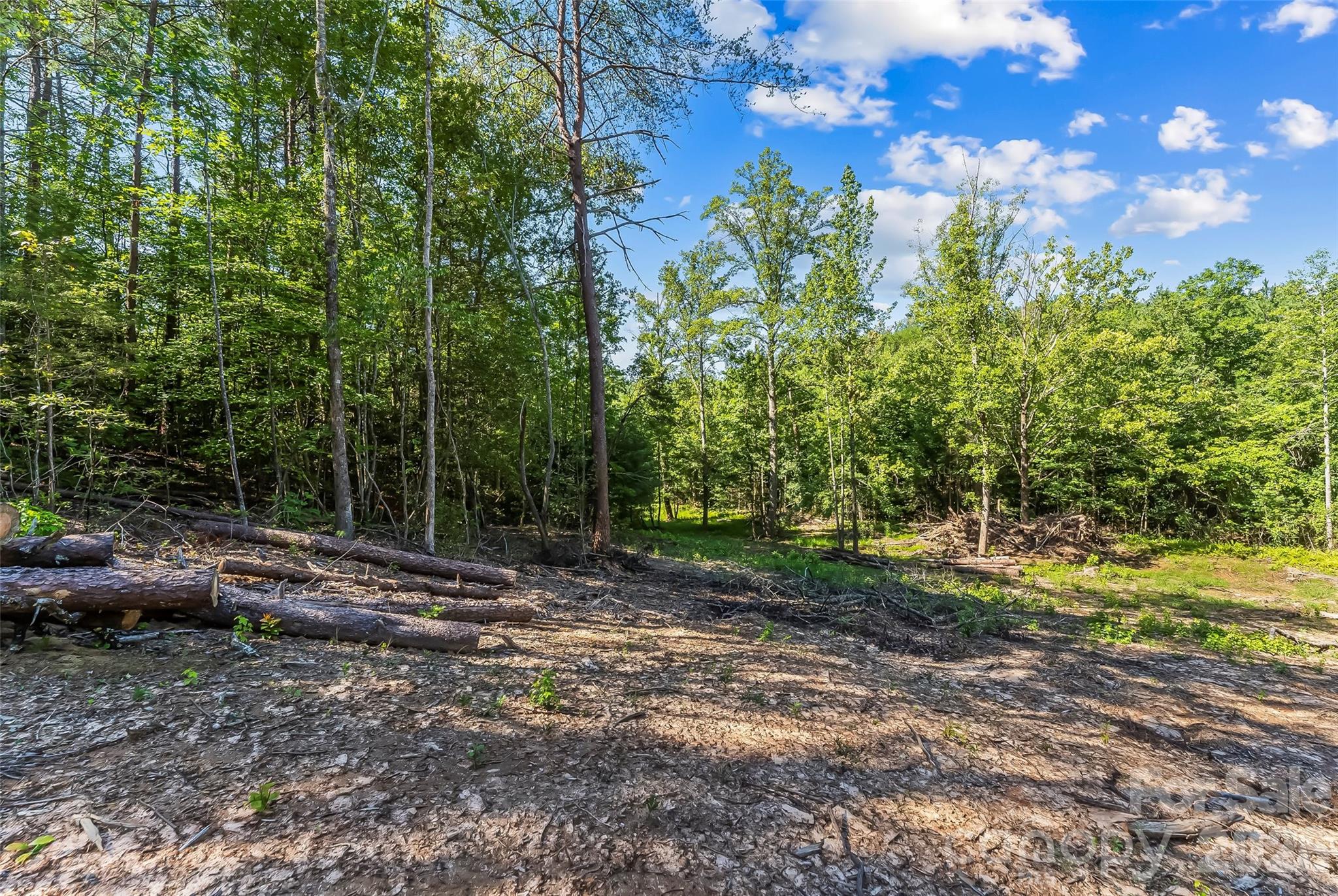 2815 Playmore Beach Road Property Photo 13