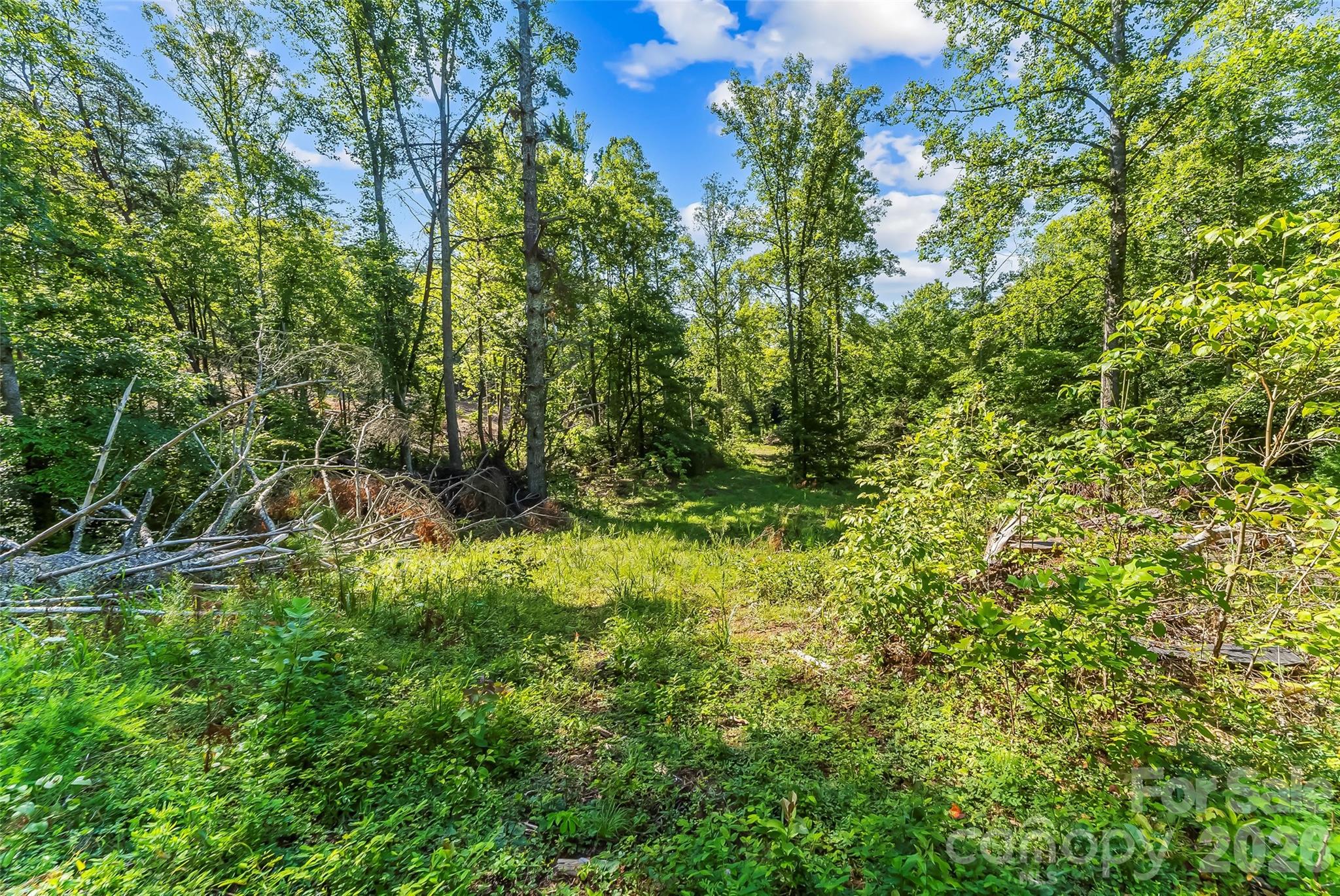 2815 Playmore Beach Road Property Photo 18