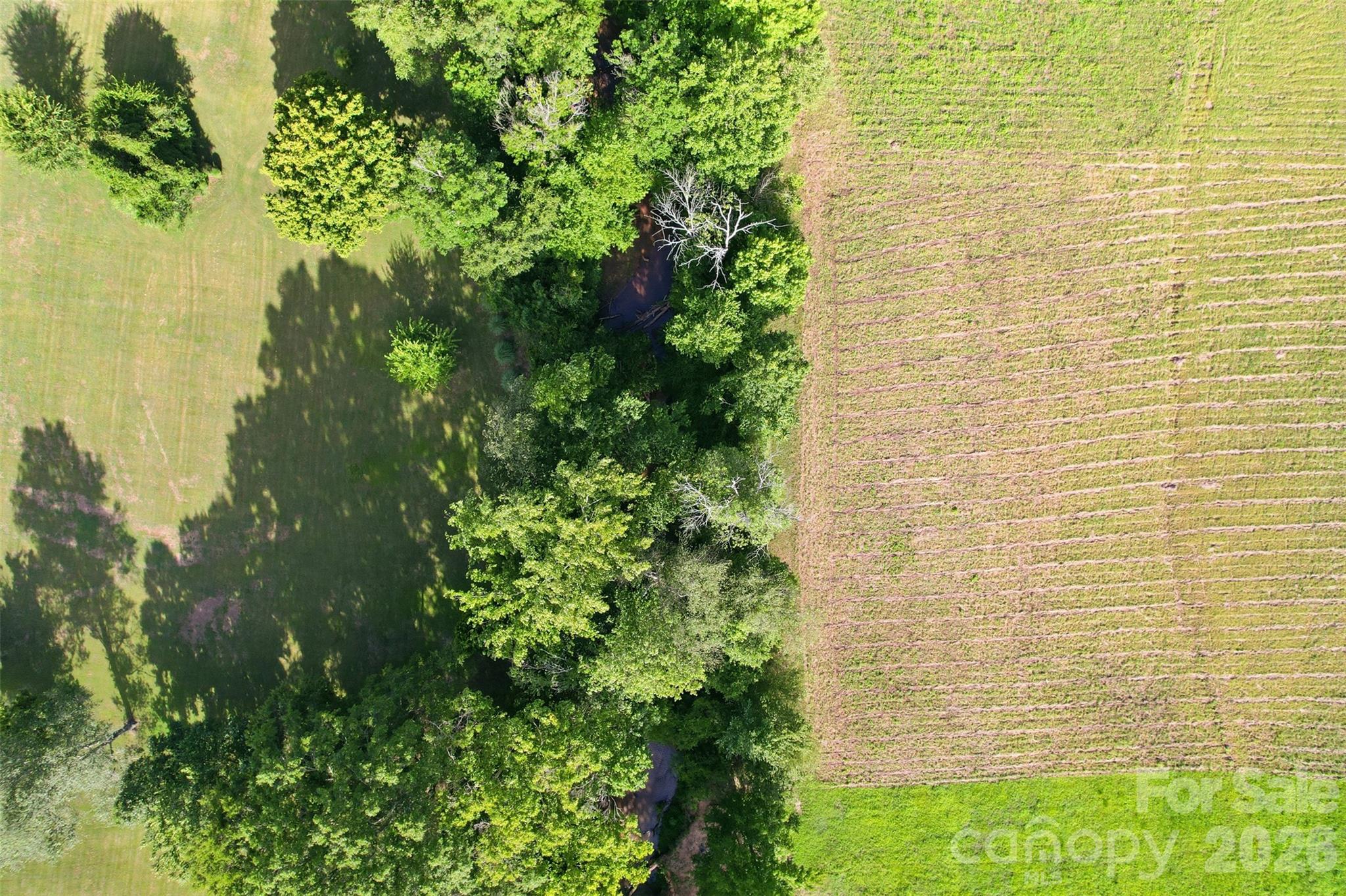 550 Bascule Ridge Lane Property Photo 6