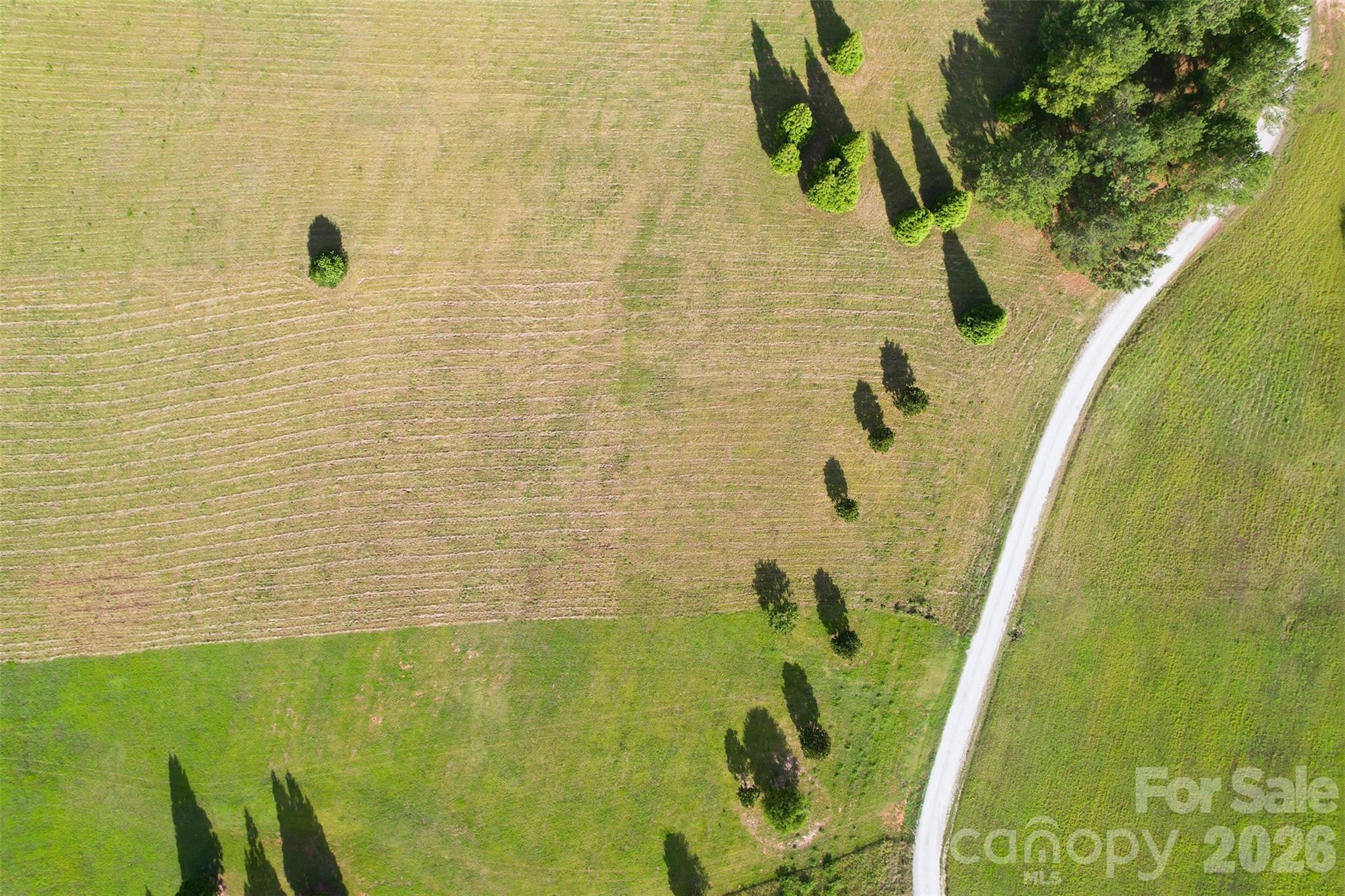 550 Bascule Ridge Lane Property Photo 7