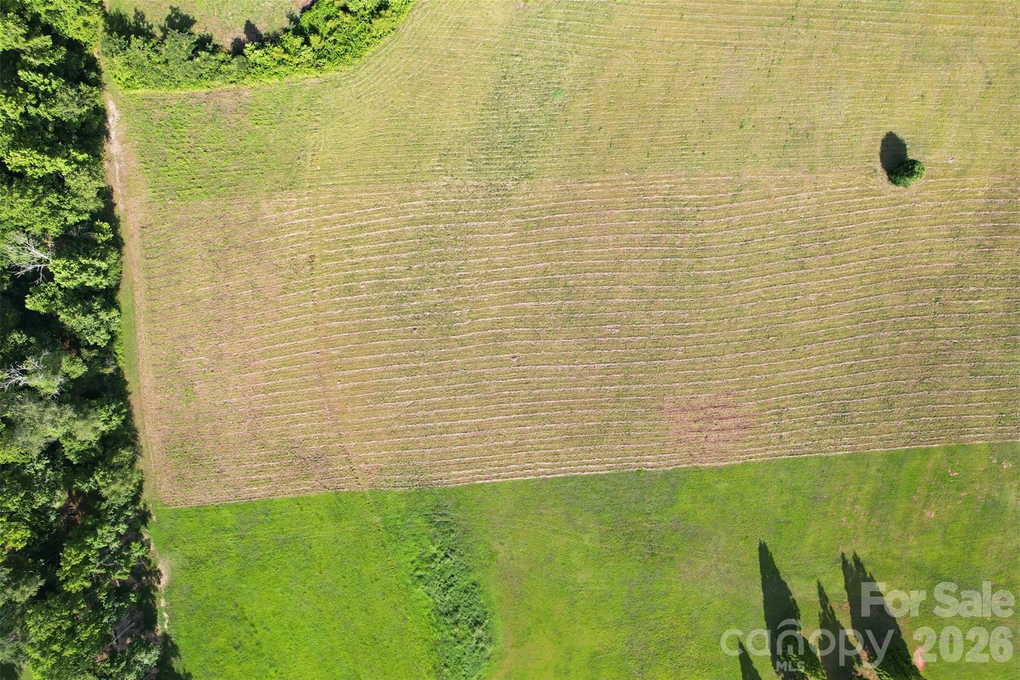 550 Bascule Ridge Lane Property Photo 8