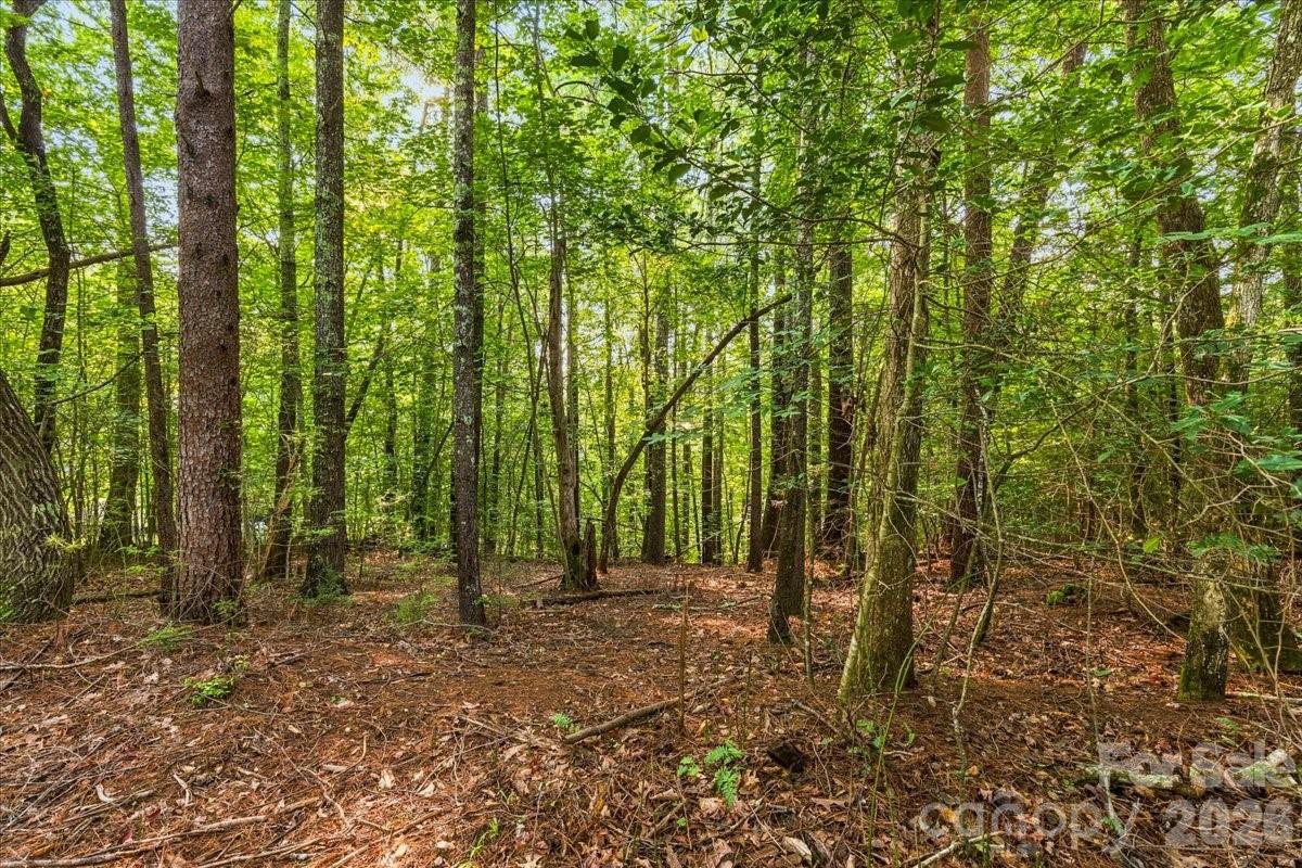178 Lentz Landing Lane Property Photo 6