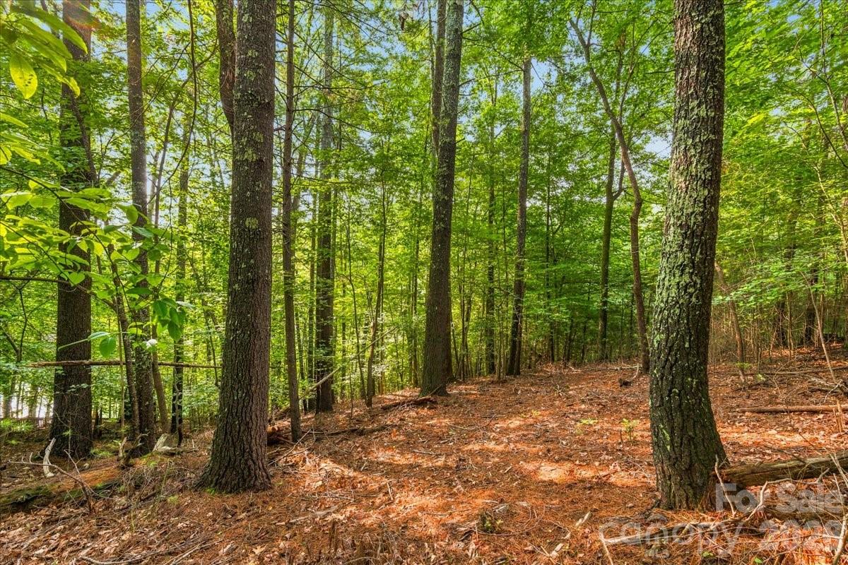 178 Lentz Landing Lane Property Photo 7