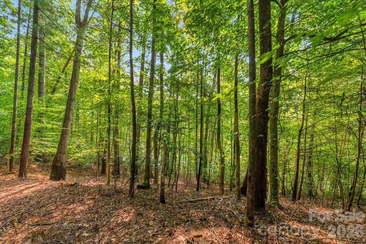 178 Lentz Landing Lane Property Photo 25