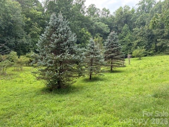 1526 Bills Creek Road Property Photo 7