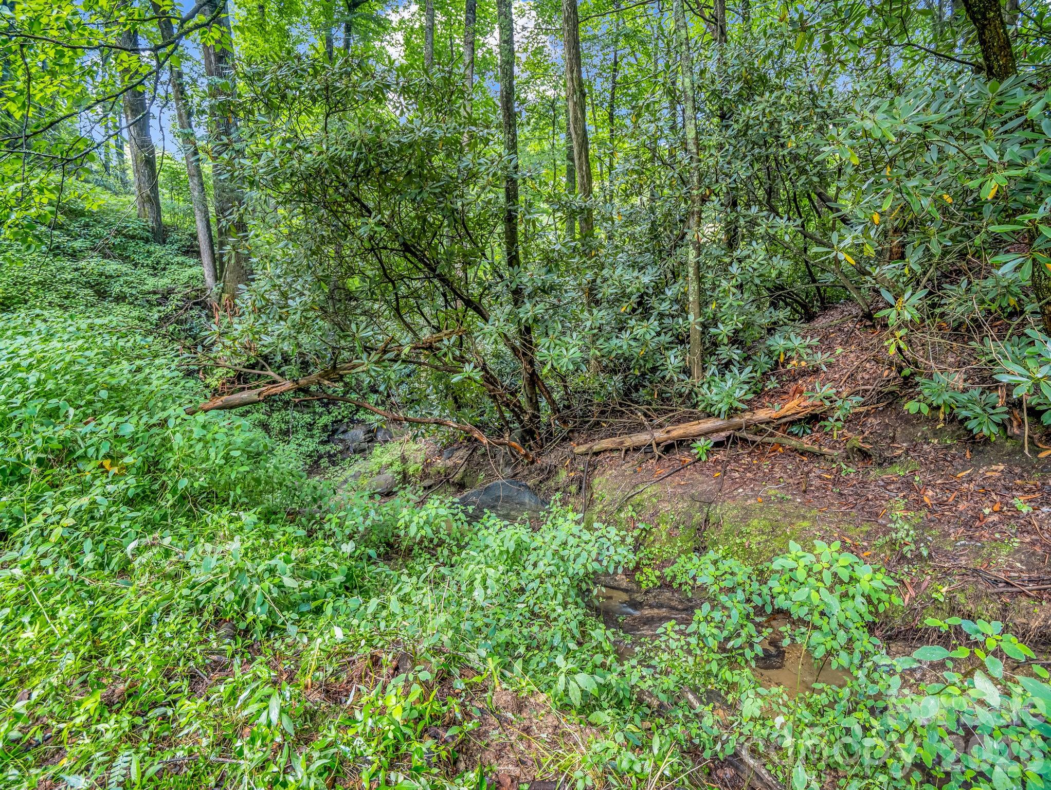 60 Owenby Cove Road Property Photo 34