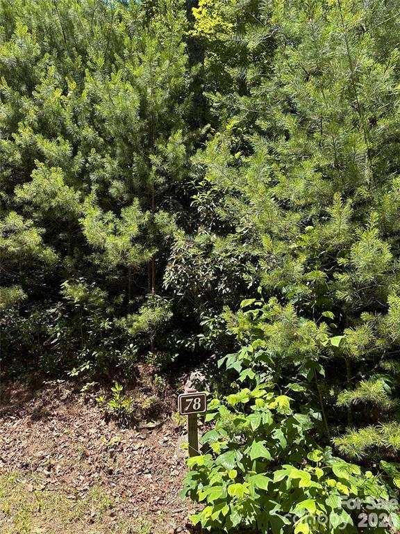 66 Boone Cove Road Property Photo 1