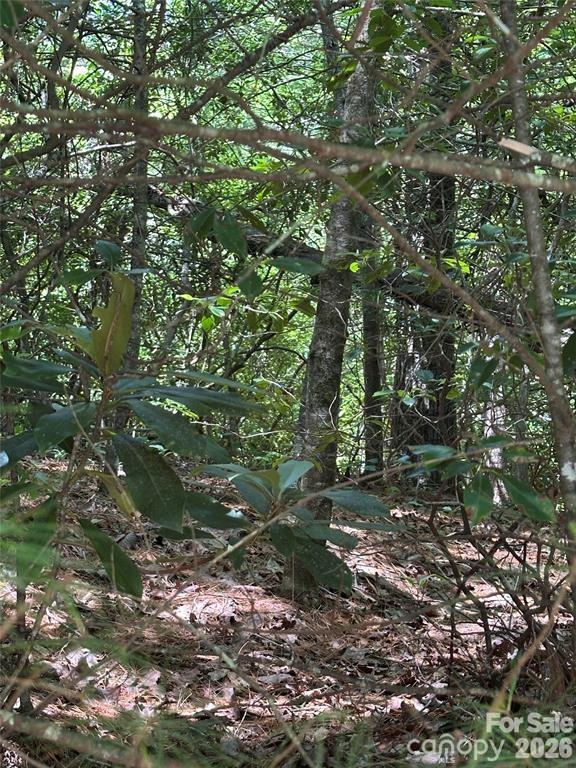 66 Boone Cove Road Property Photo 3