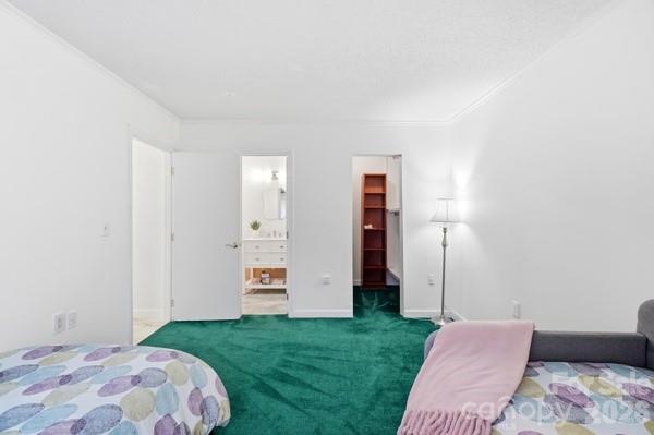 4816 Spring Lake Road Property Photo 15