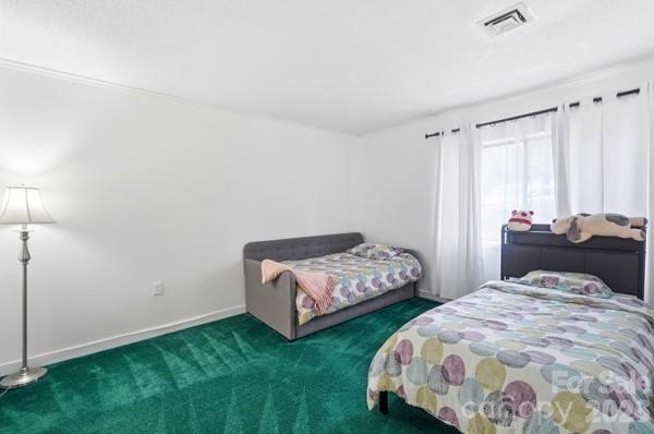 4816 Spring Lake Road Property Photo 16