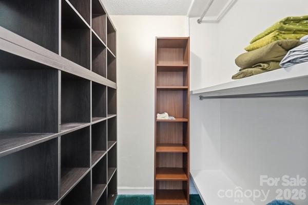 4816 Spring Lake Road Property Photo 18