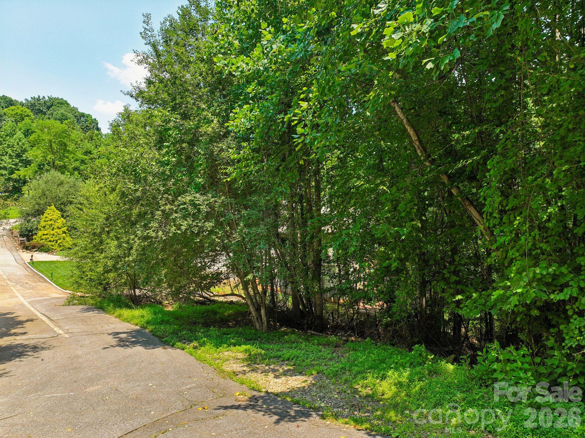 0 Glen Eagles Lane Property Photo 20