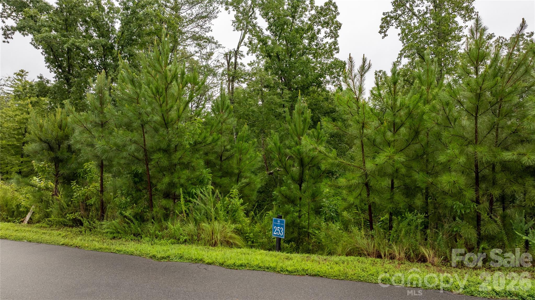 0 Scenic Lane 253 Property Photo 3
