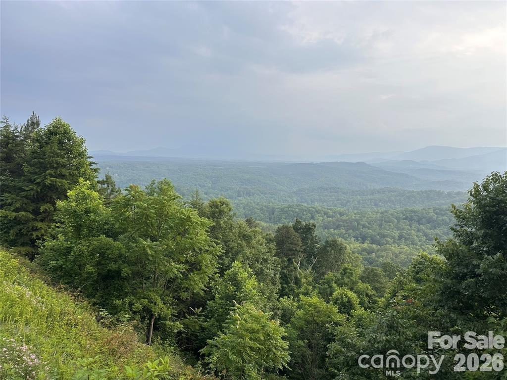 0 Golden Ridge Drive Property Photo 1