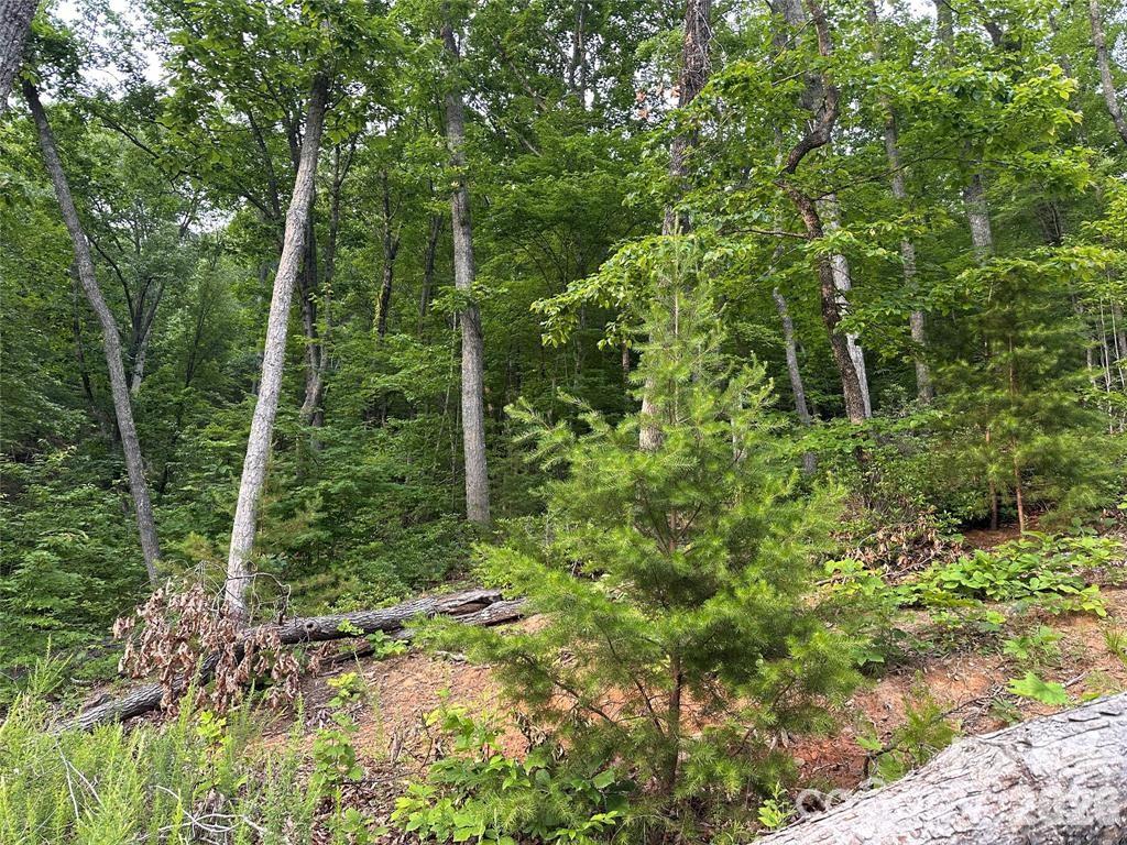 0 Golden Ridge Drive Property Photo 2