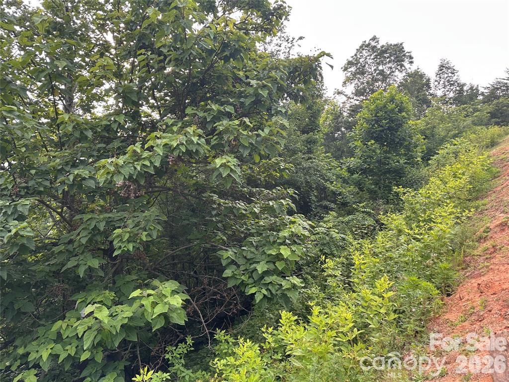 0 Golden Ridge Drive Property Photo 3