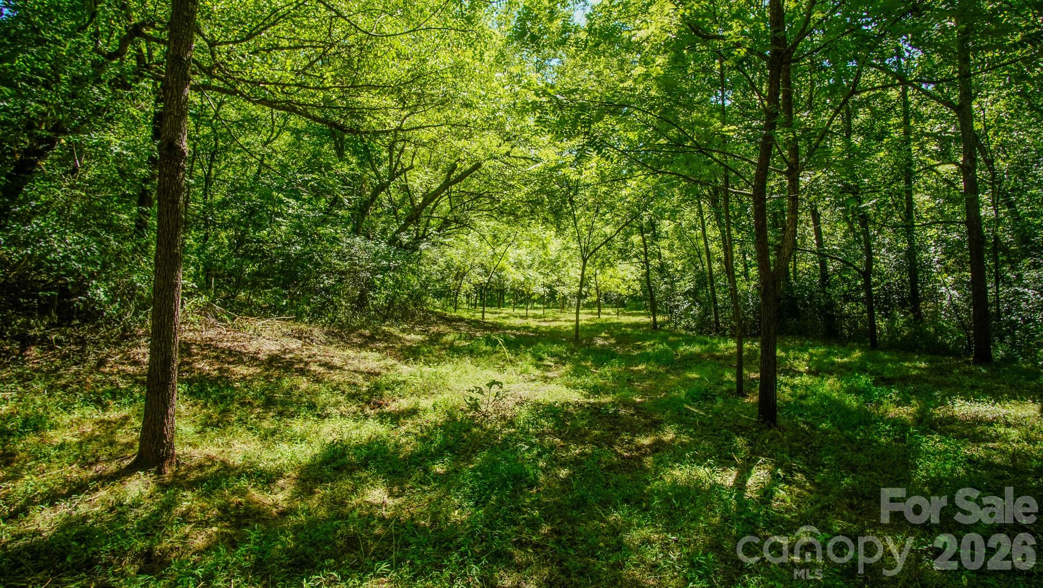 00 Ode Kerley Lane Property Photo 4