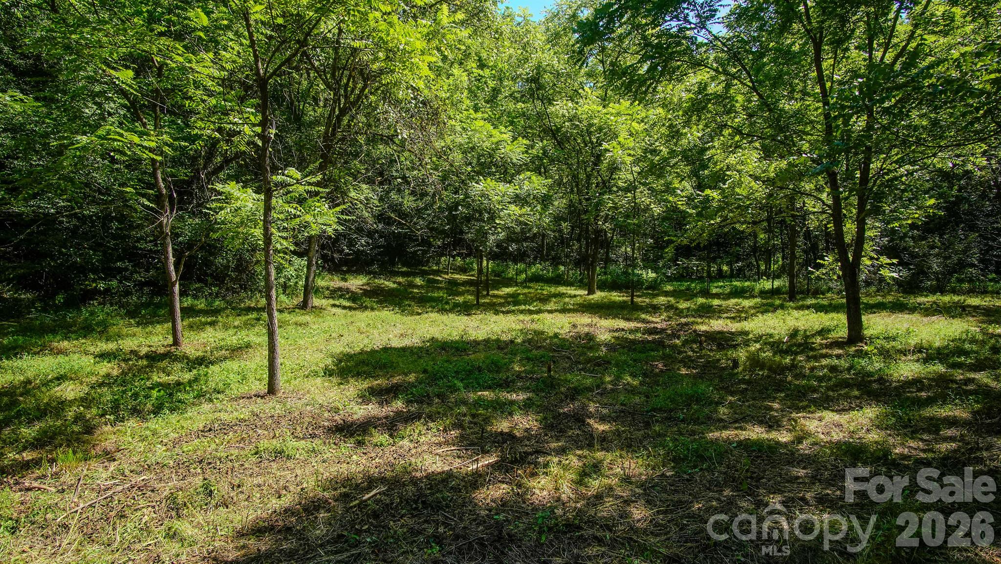 00 Ode Kerley Lane Property Photo 7