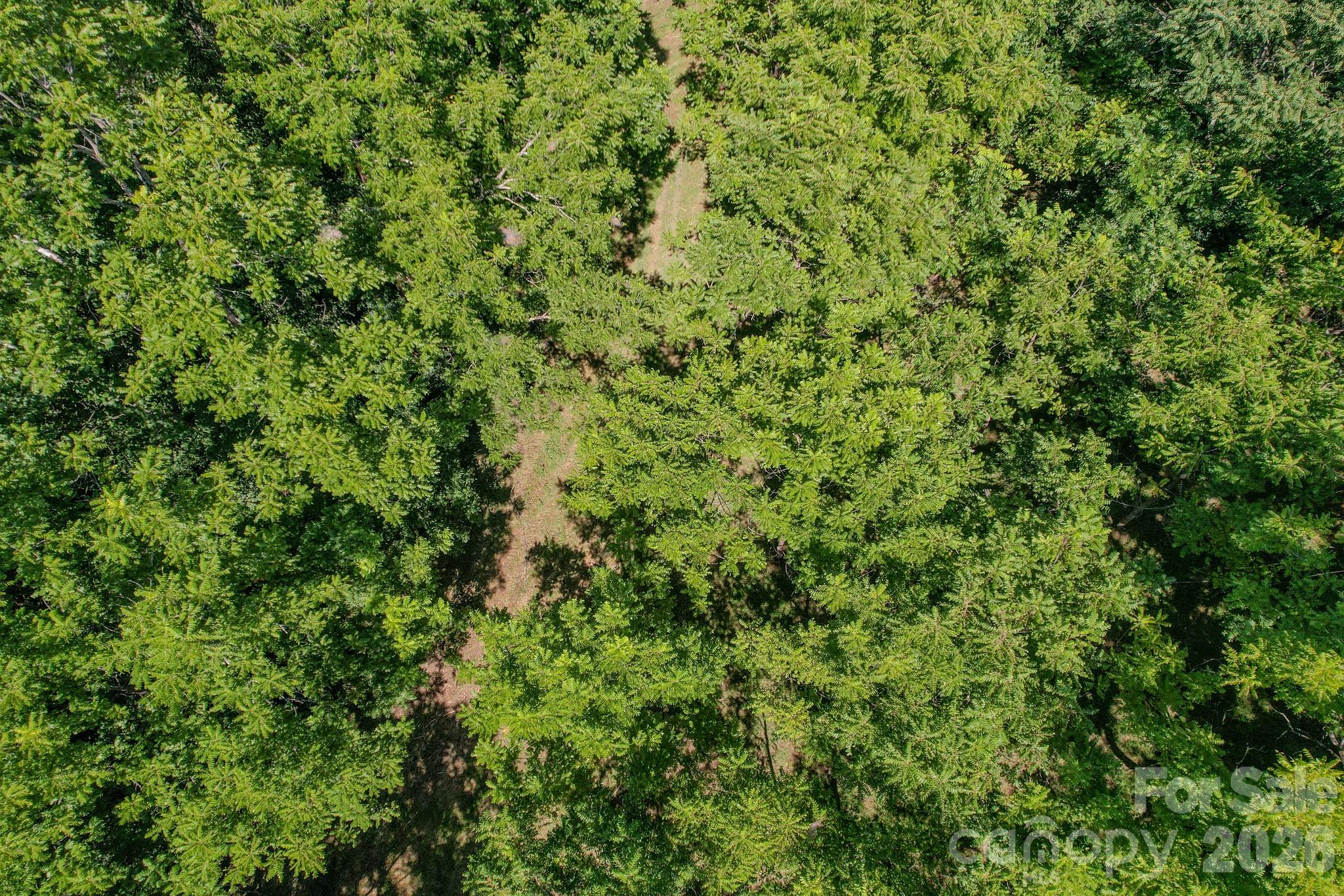 00 Ode Kerley Lane Property Photo 13