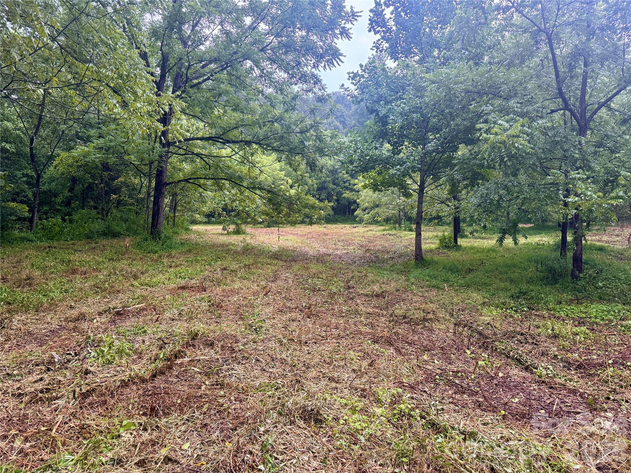 00 Ode Kerley Lane Property Photo 15