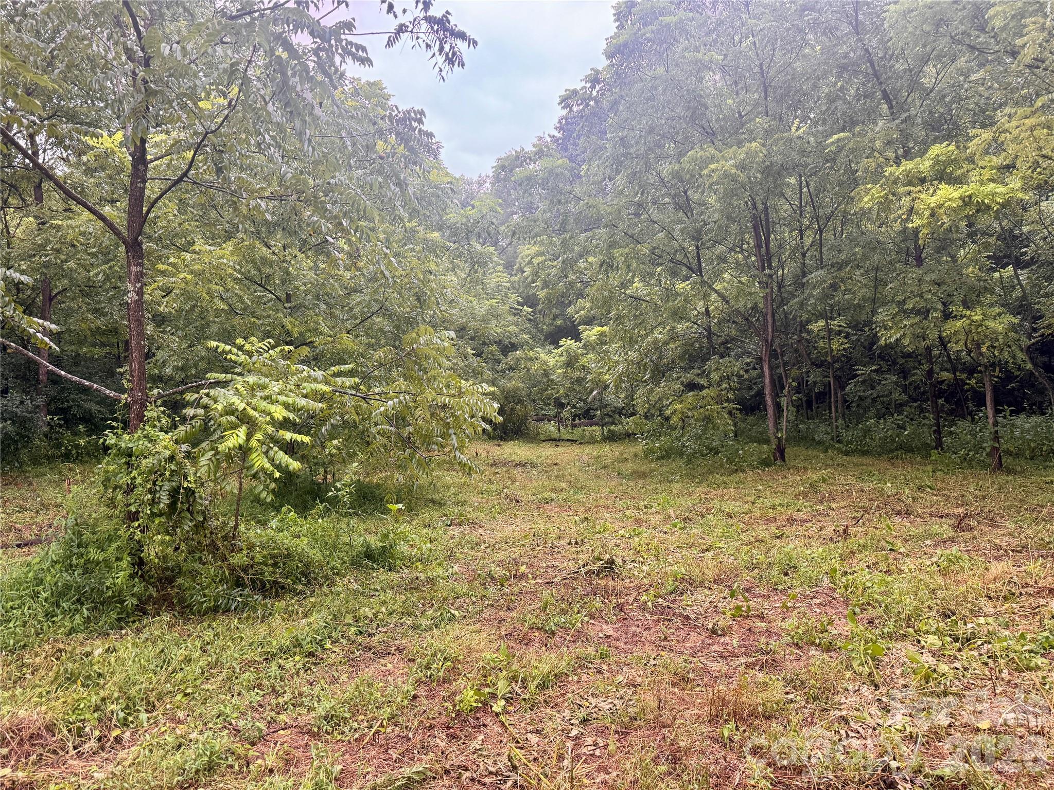 00 Ode Kerley Lane Property Photo 17