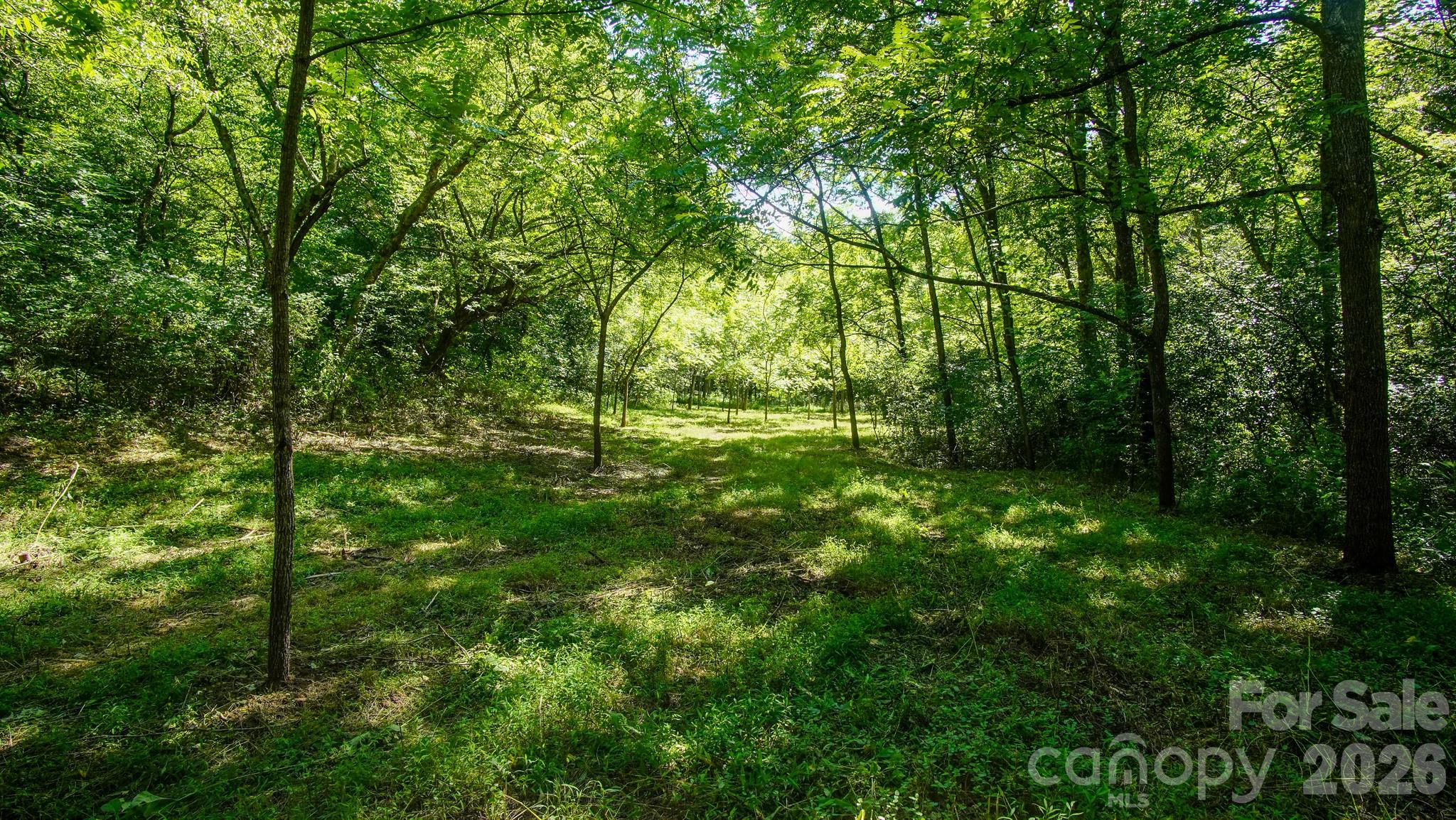 00 Ode Kerley Lane Property Photo 18