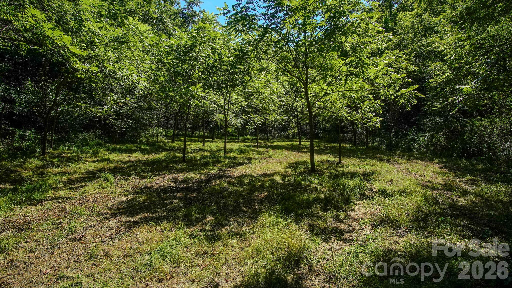 00 Ode Kerley Lane Property Photo 19