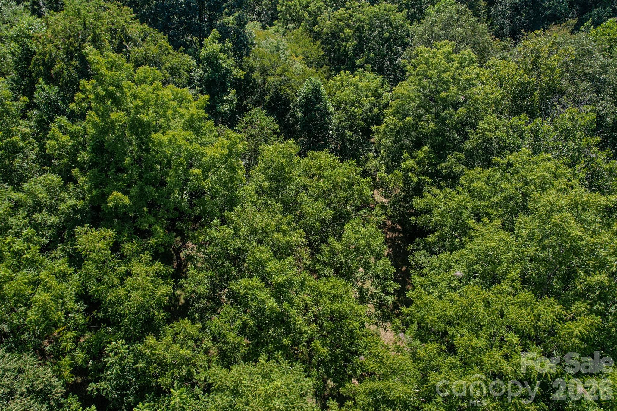 00 Ode Kerley Lane Property Photo 23