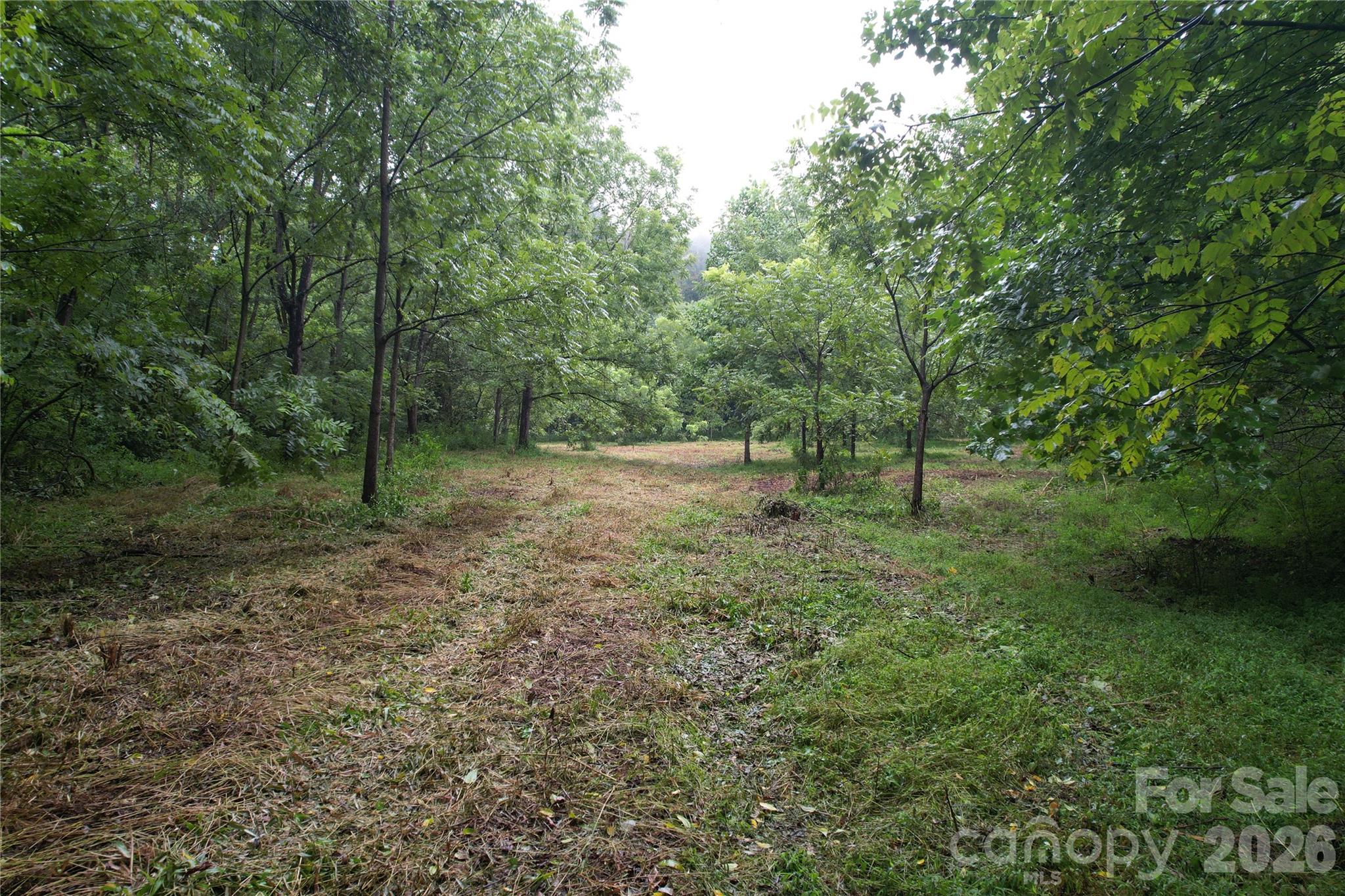 00 Ode Kerley Lane Property Photo 26