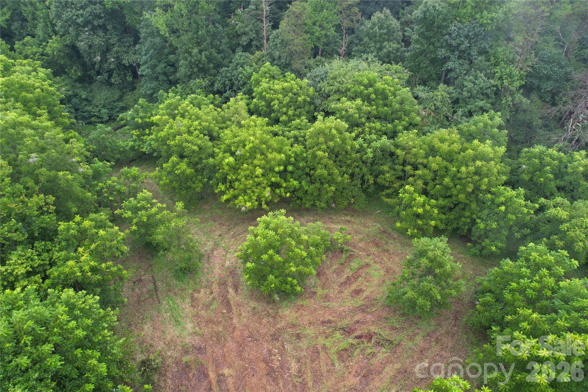 00 Ode Kerley Lane Property Photo 27