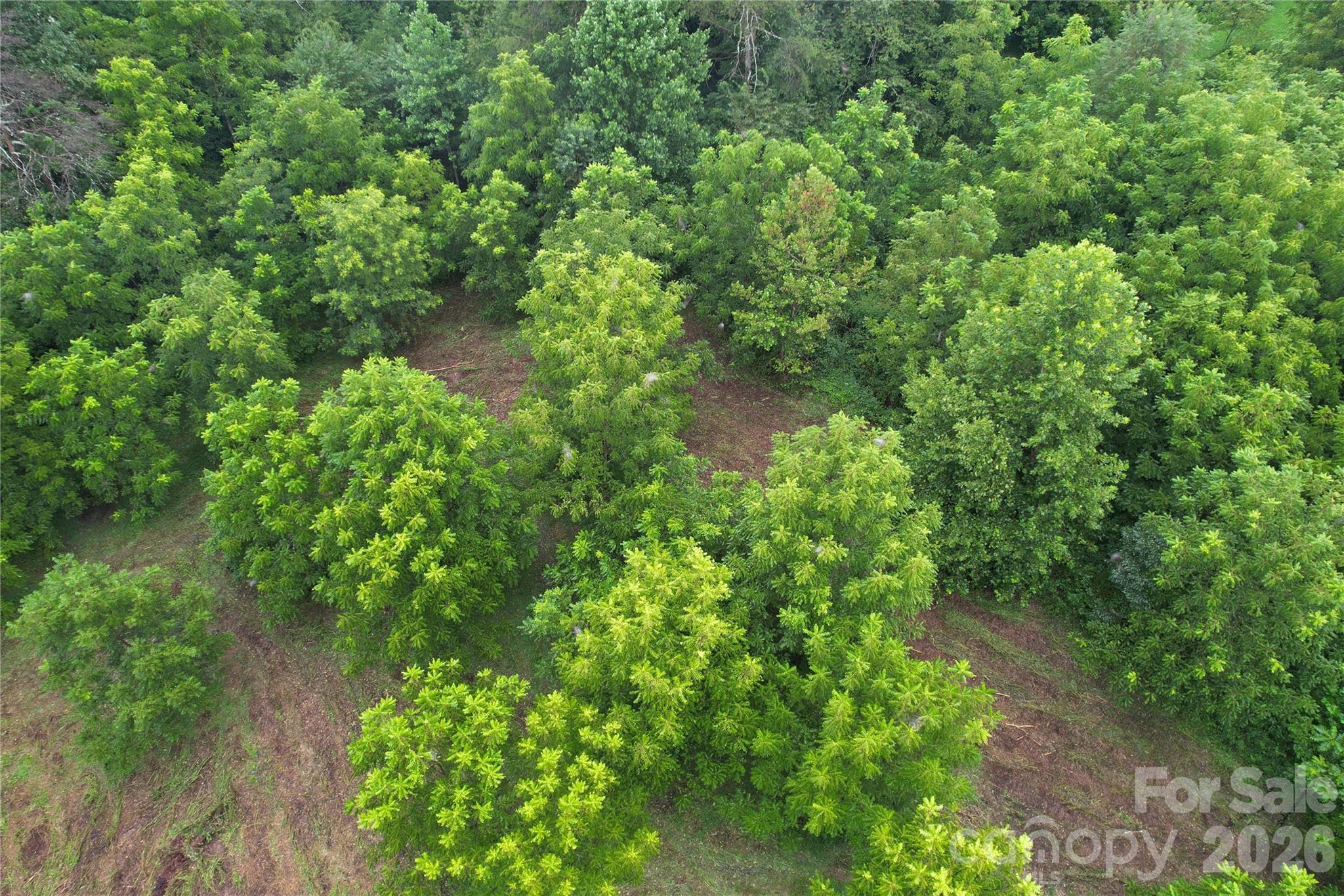 00 Ode Kerley Lane Property Photo 28