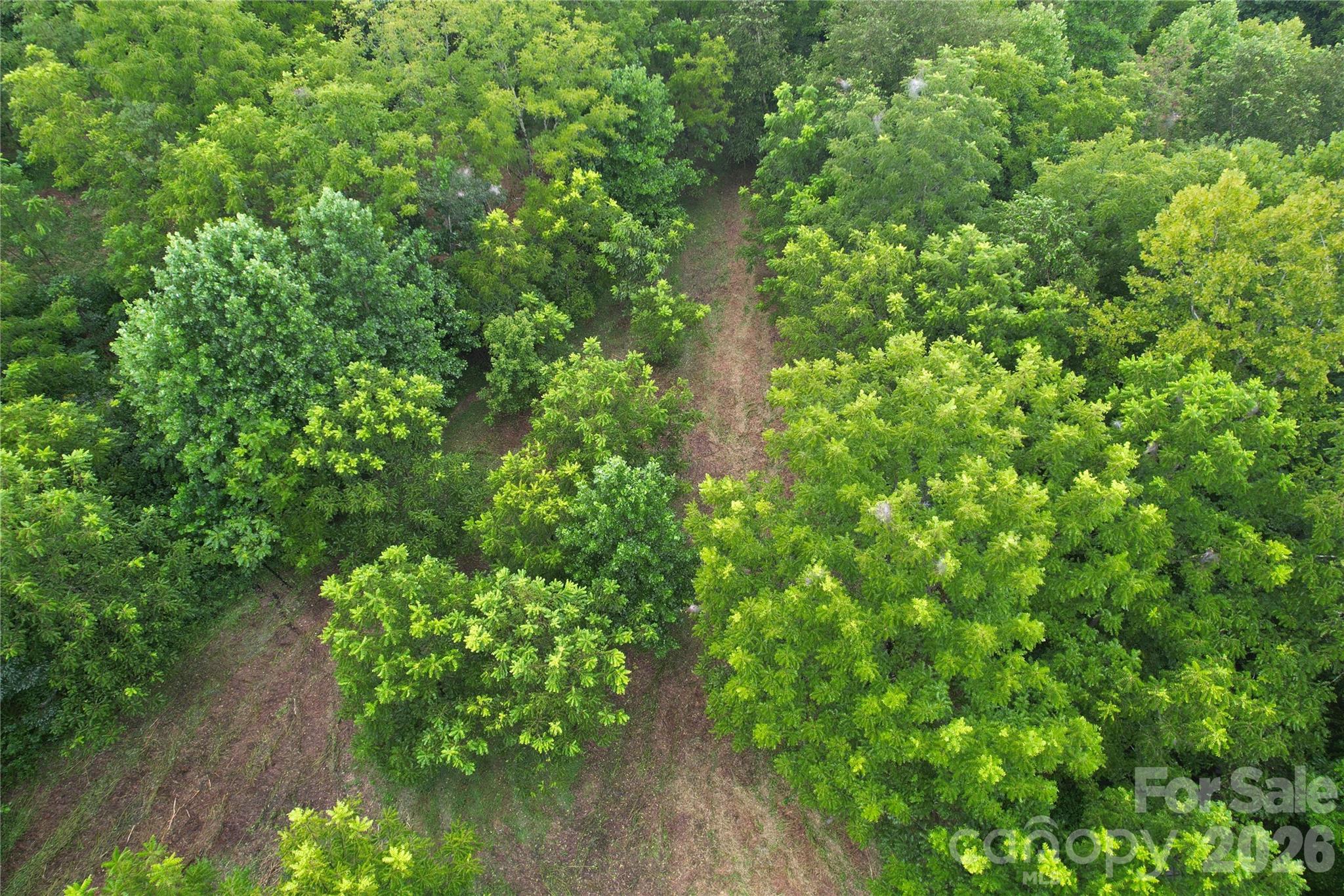 00 Ode Kerley Lane Property Photo 29