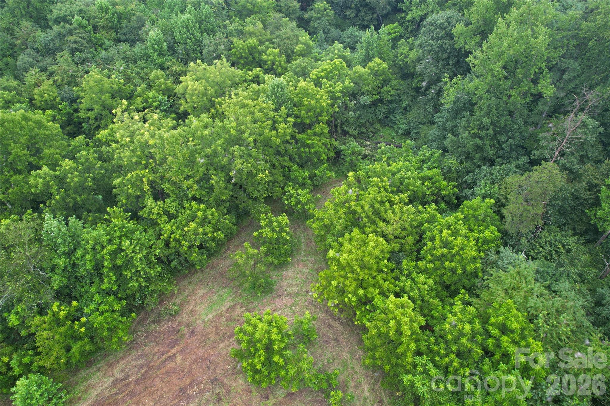 00 Ode Kerley Lane Property Photo 31
