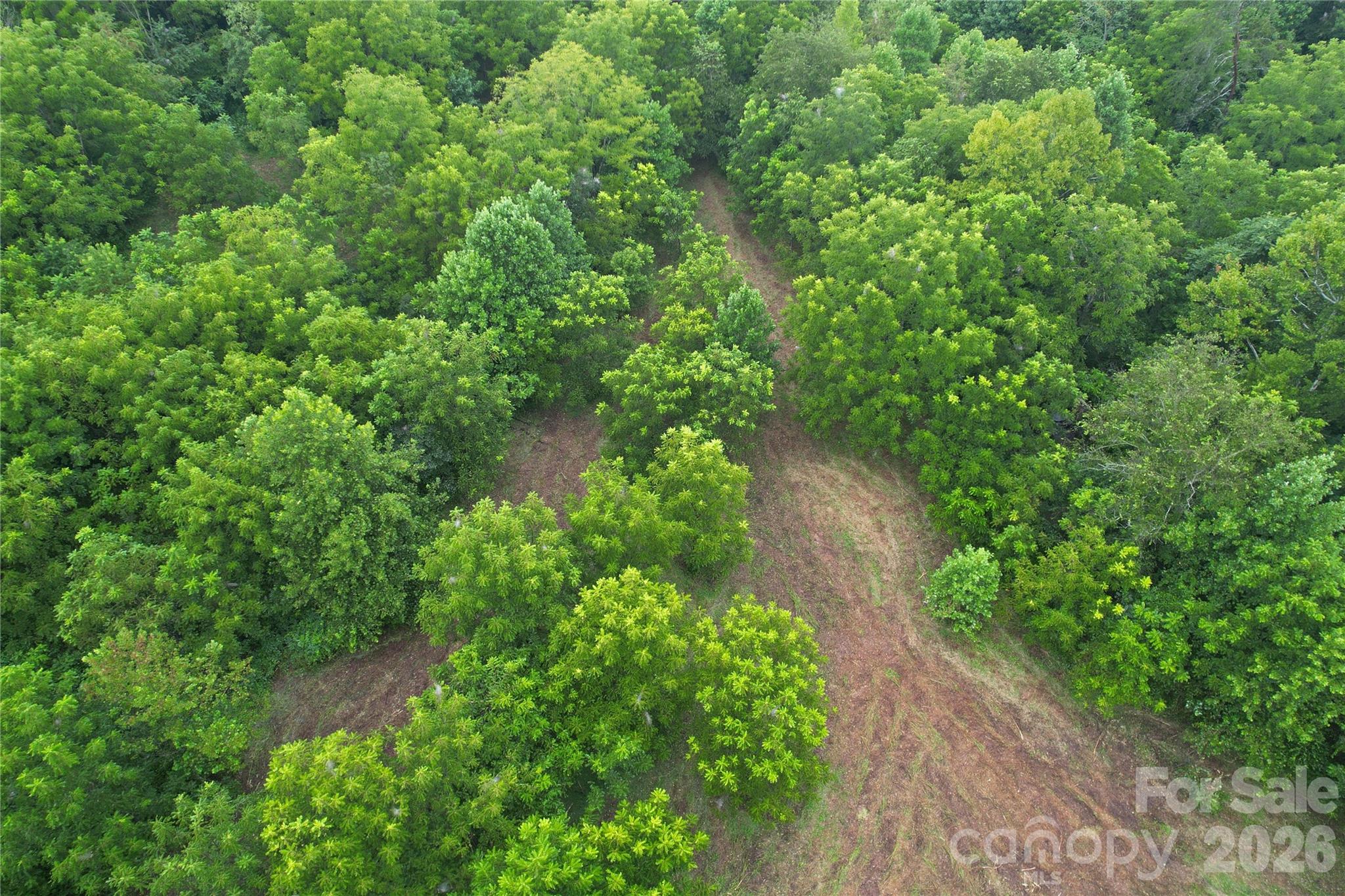 00 Ode Kerley Lane Property Photo 32