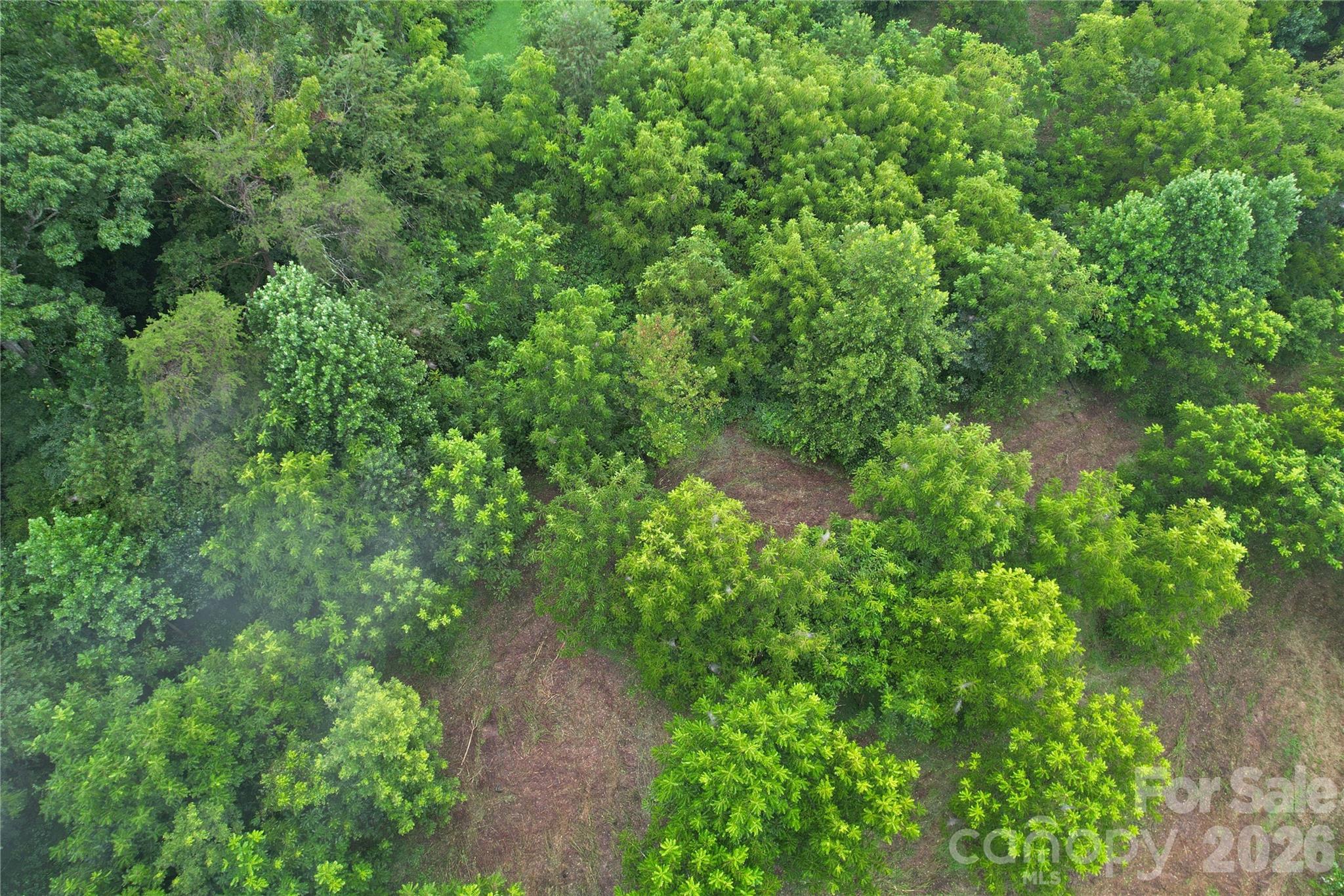 00 Ode Kerley Lane Property Photo 33