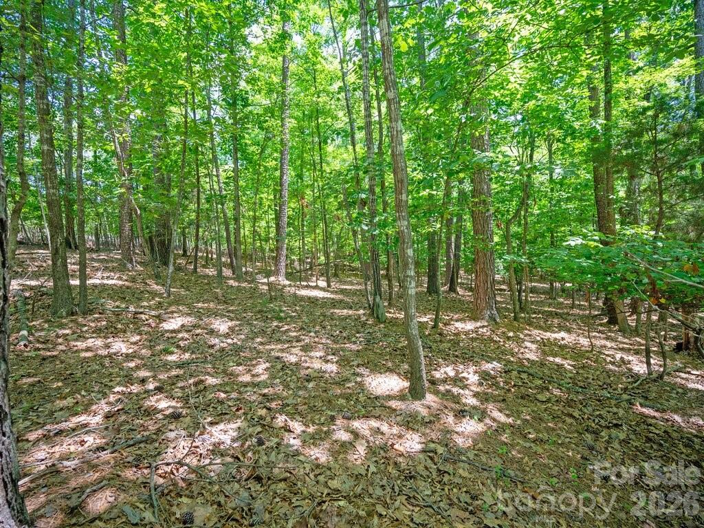 19021 Youngblood Road 10 Property Photo 7