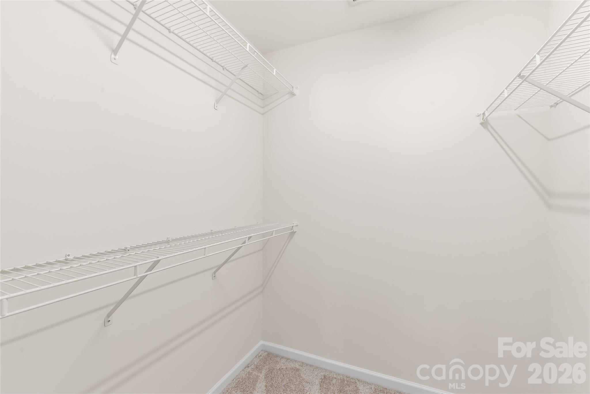 12319 Silveroak Lane Property Photo 34